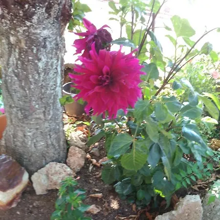 Ferienhaus Sto Dimeiko *