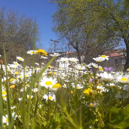 Sto Dimeiko Ferienhaus *