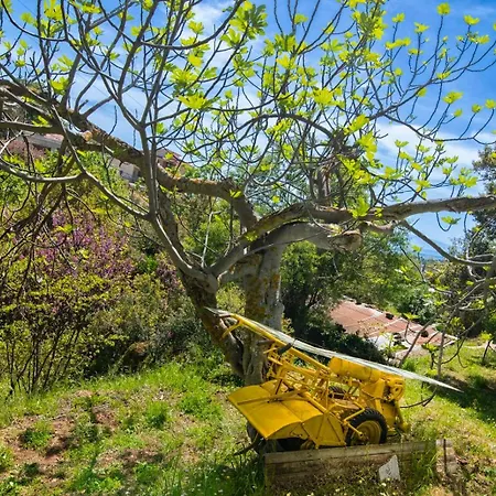 Sto Dimeiko Krionérion