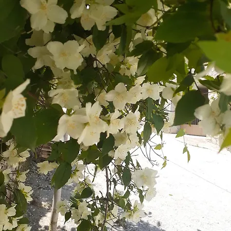 Sto Dimeiko Сasa de vacaciones Krionérion