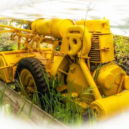 Sto Dimeiko Krionérion