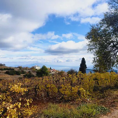 בית נופש Sto Dimeiko