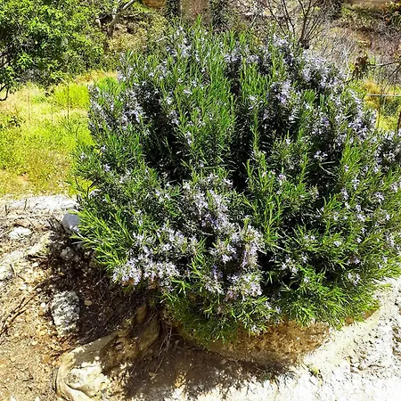 Sto Dimeiko Dom wakacyjny *