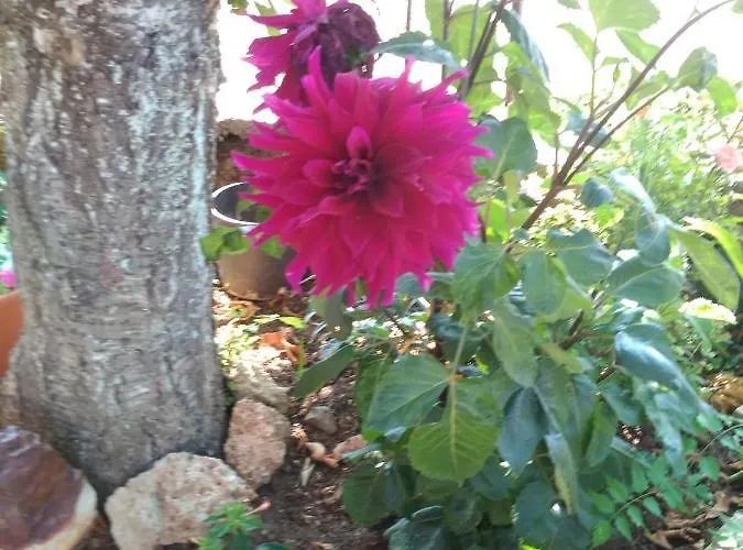 Feriehus Sto Dimeiko *