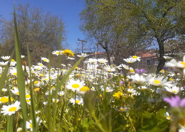 Sto Dimeiko Feriehus *