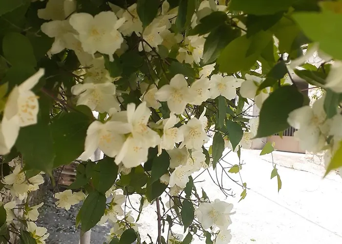 Sto Dimeiko Feriehus Krionérion