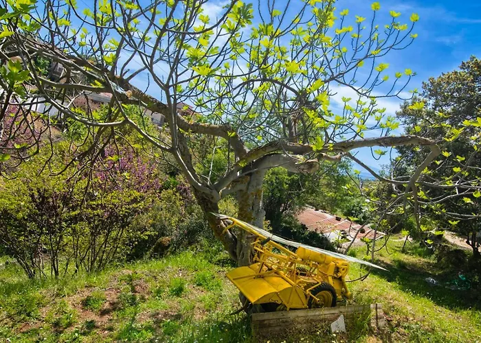 Sto Dimeiko Krionérion