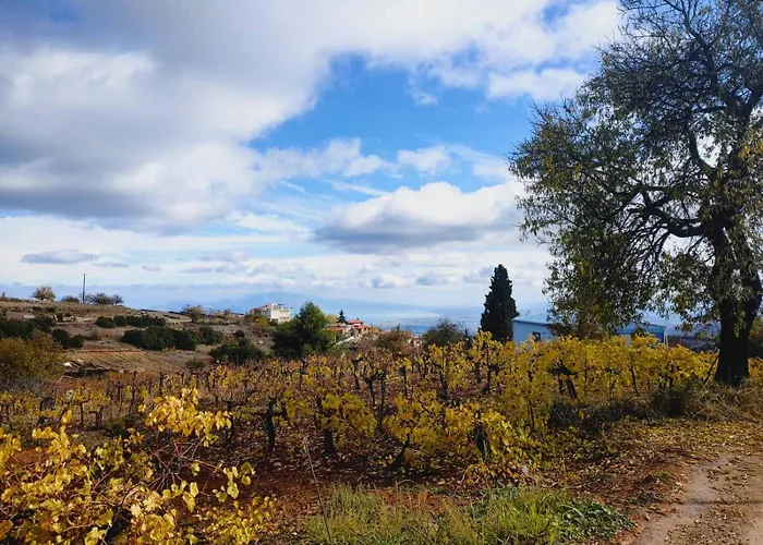 بيت للعطل Sto Dimeiko